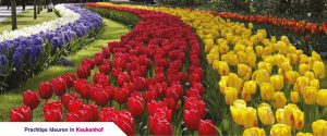 Keukenhof